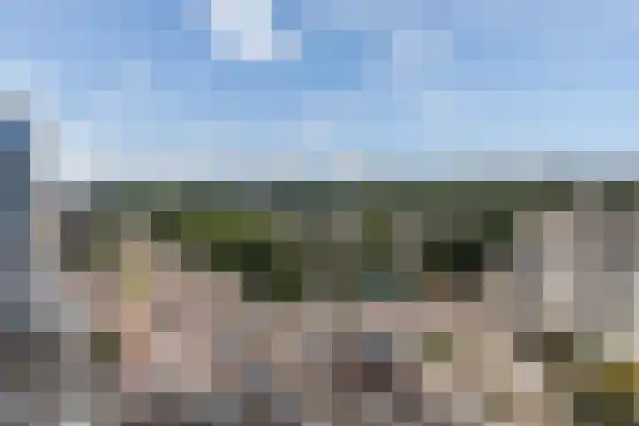 Duikerlaan 46 Capelle aan den IJssel thumbnail 38