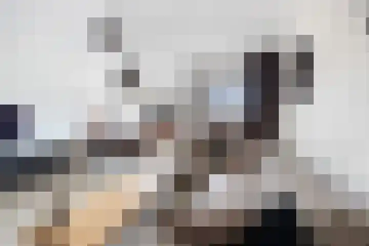 Duikerlaan 46 Capelle aan den IJssel thumbnail 6