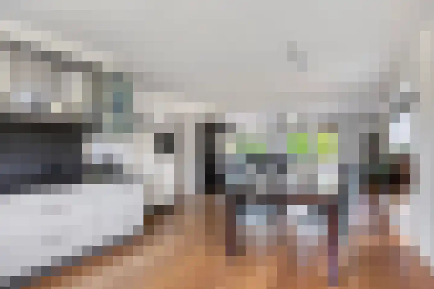 Duikersloot 123 Pijnacker thumbnail 10