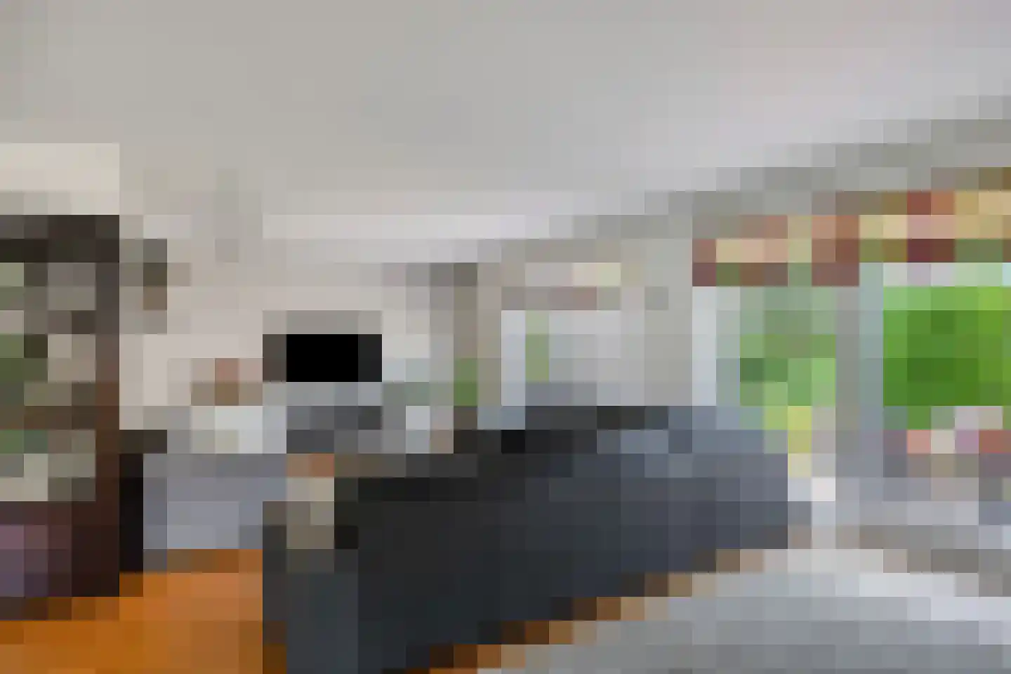Duikersloot 123 Pijnacker thumbnail 12