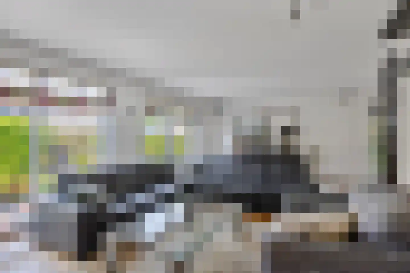 Duikersloot 123 Pijnacker thumbnail 13