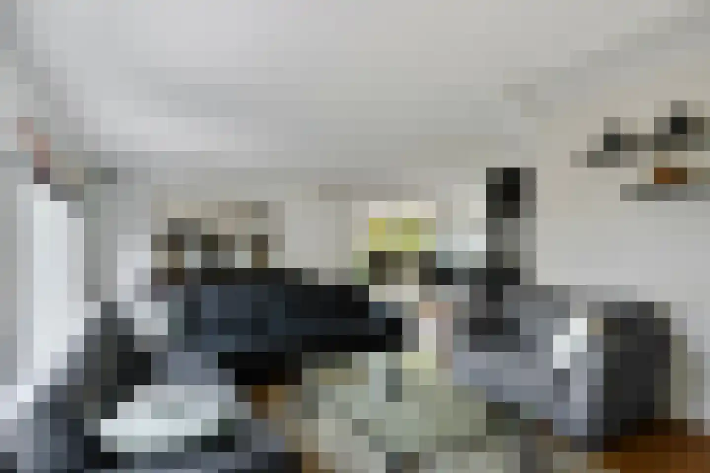 Duikersloot 123 Pijnacker thumbnail 14