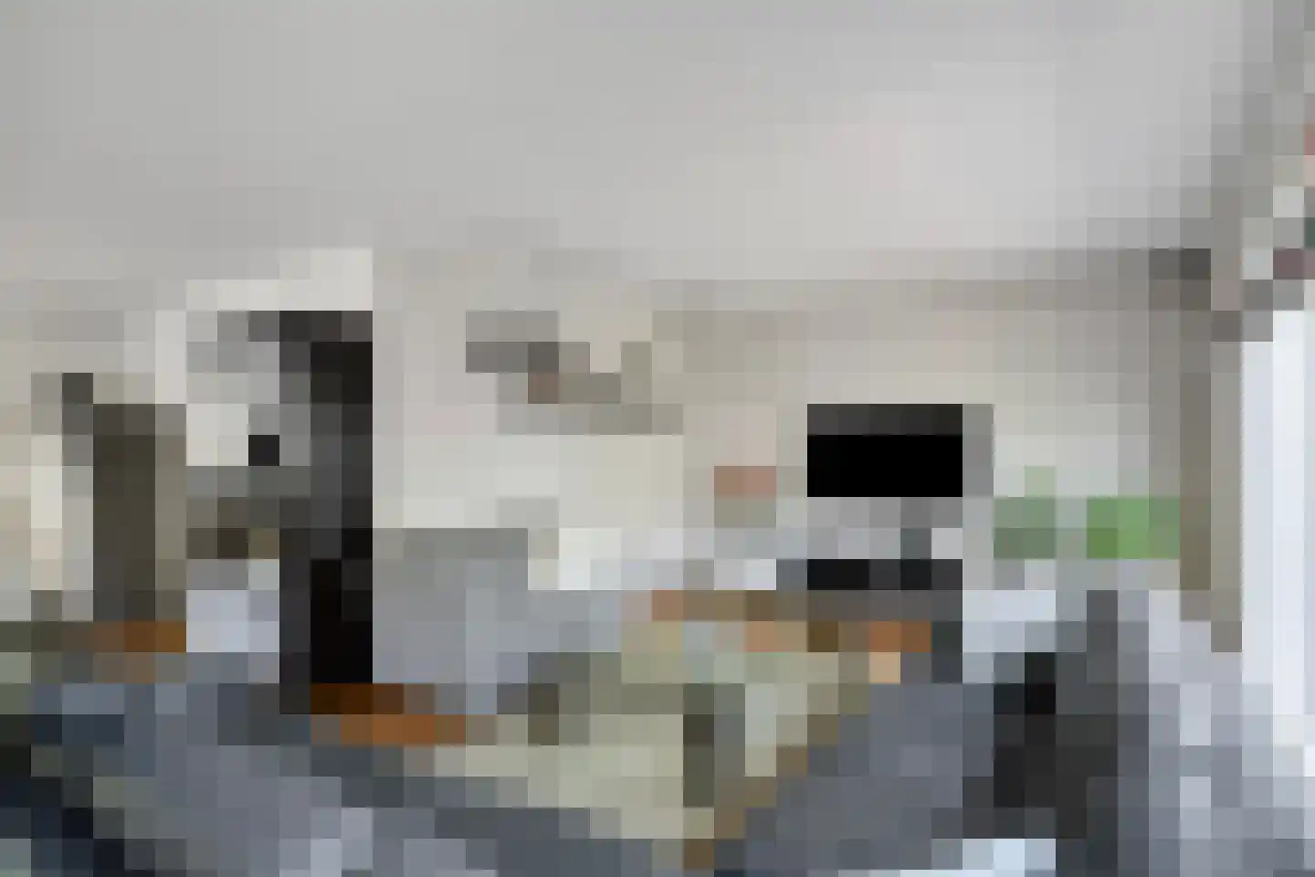 Duikersloot 123 Pijnacker thumbnail 15