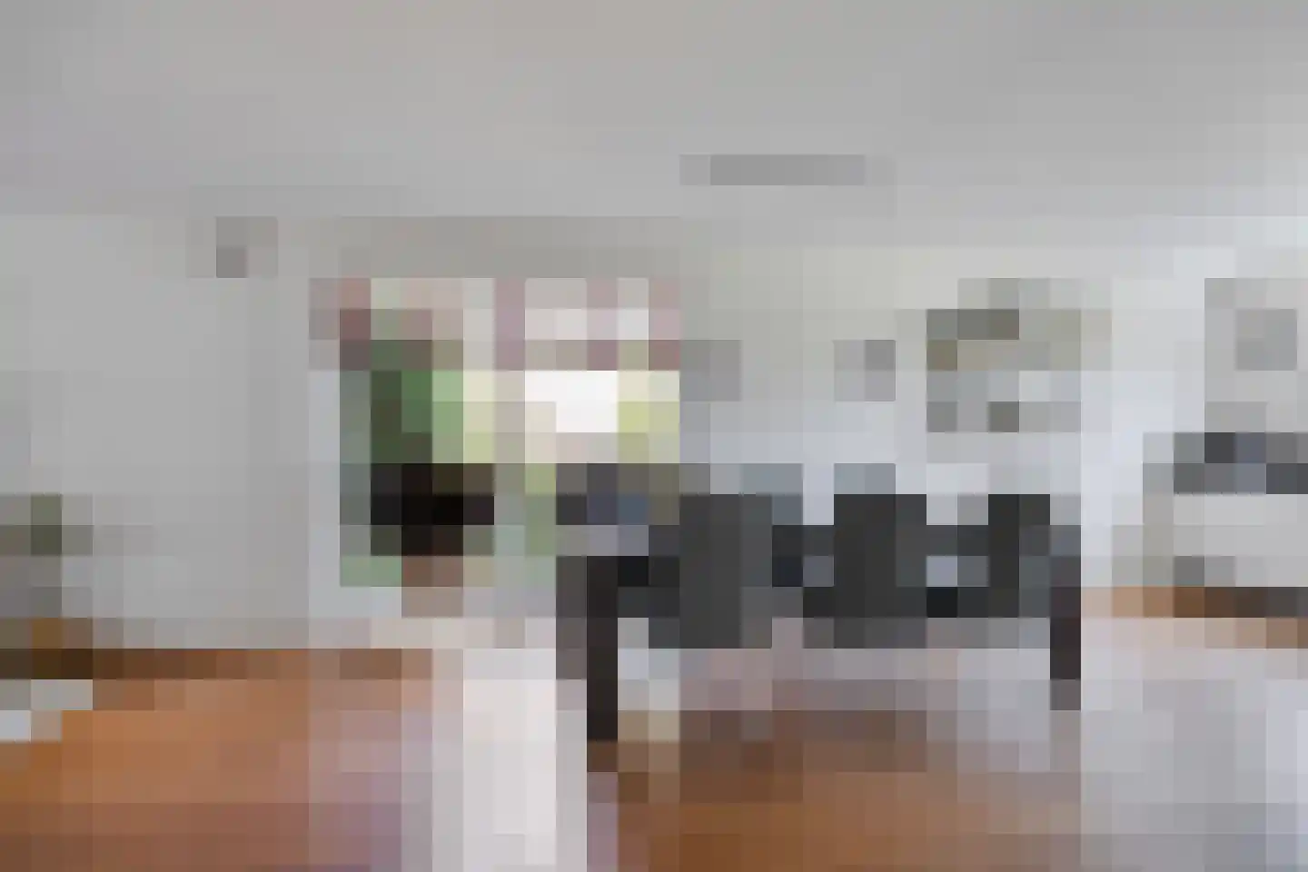 Duikersloot 123 Pijnacker thumbnail 16