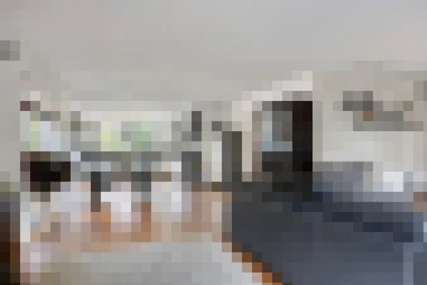 Duikersloot 123 Pijnacker thumbnail 17