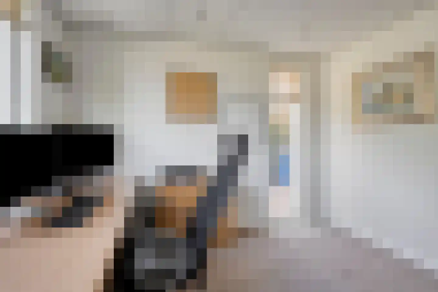 Duikersloot 123 Pijnacker thumbnail 19