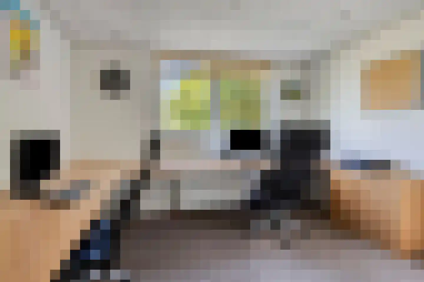 Duikersloot 123 Pijnacker thumbnail 20