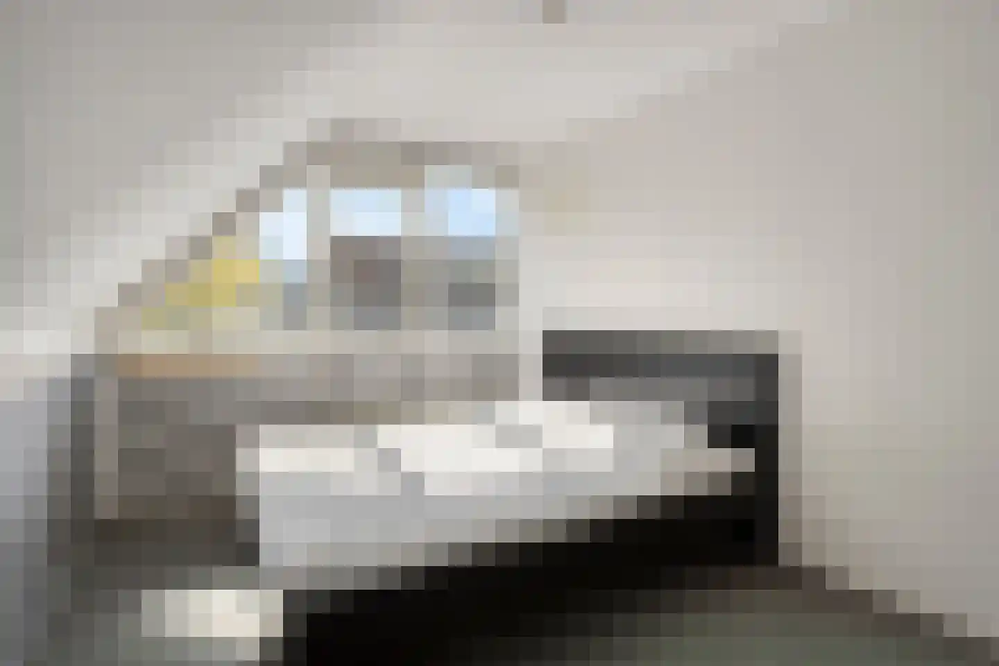 Duikersloot 123 Pijnacker thumbnail 25