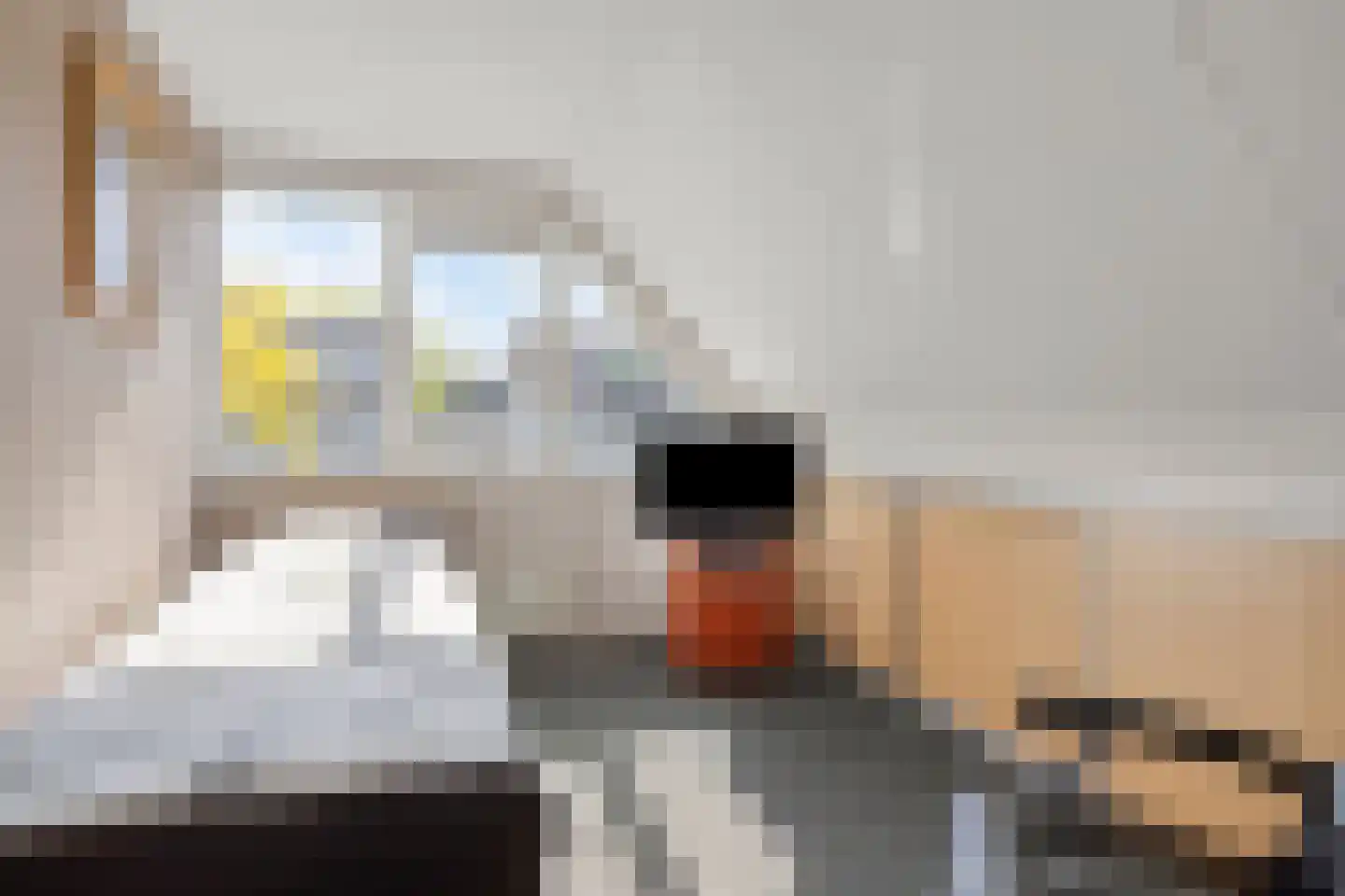 Duikersloot 123 Pijnacker thumbnail 26