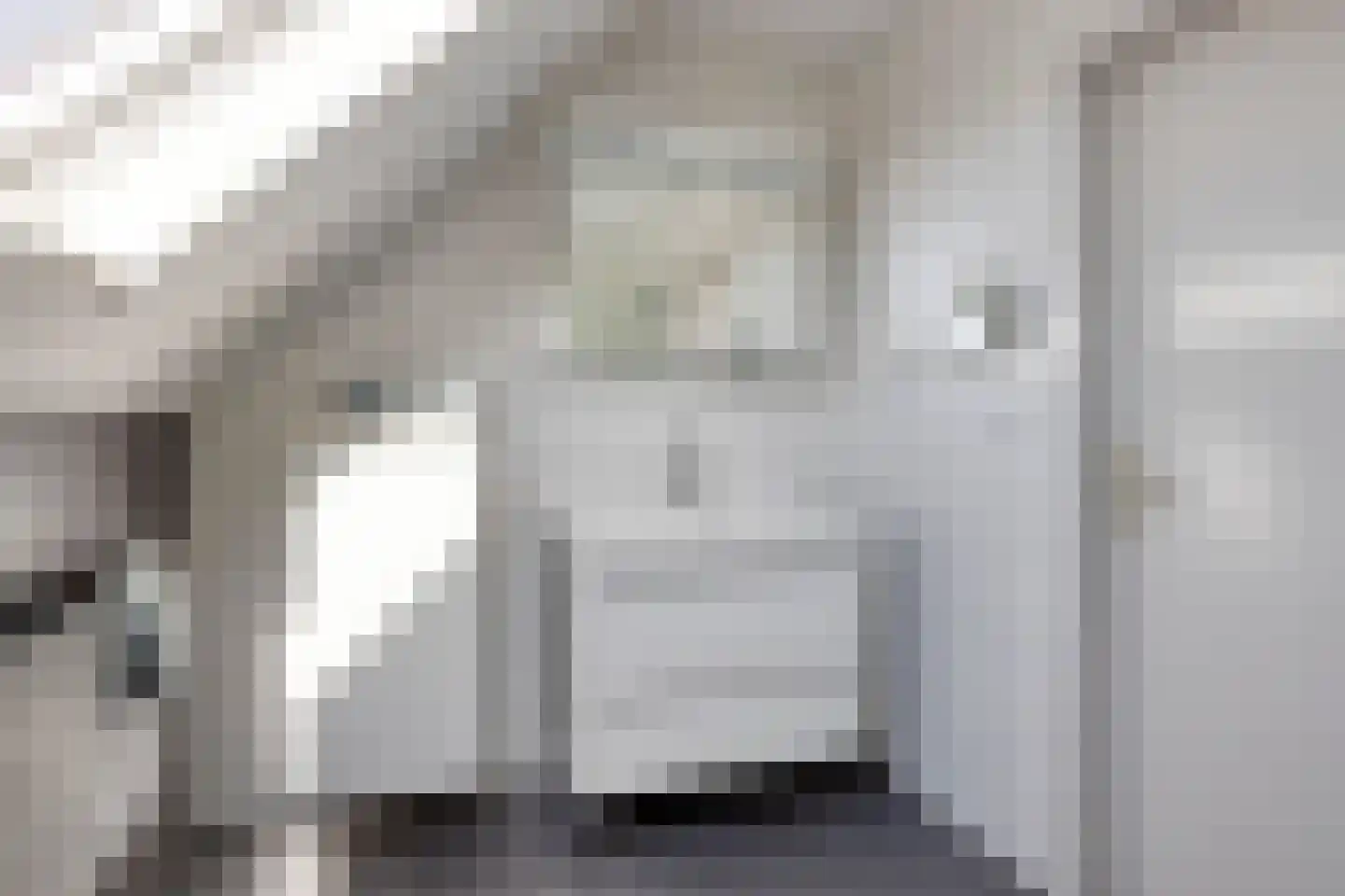 Duikersloot 123 Pijnacker thumbnail 28