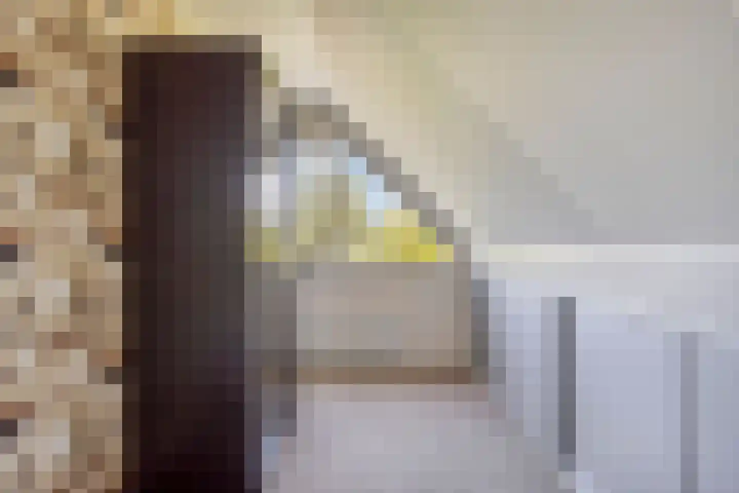 Duikersloot 123 Pijnacker thumbnail 29
