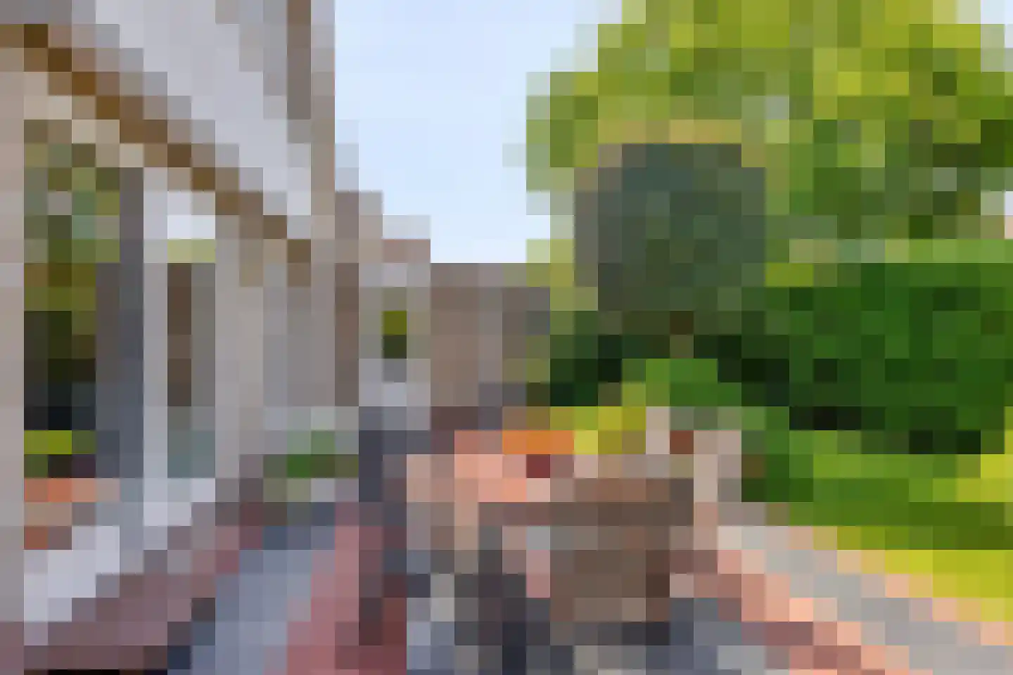 Duikersloot 123 Pijnacker thumbnail 34