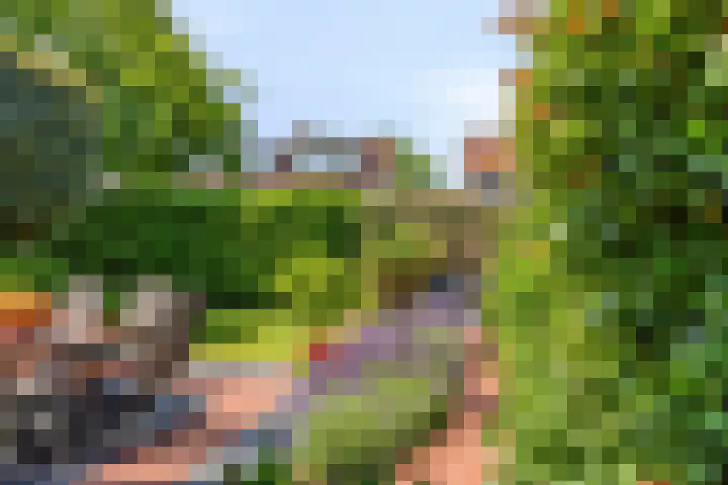 Duikersloot 123 Pijnacker thumbnail 35
