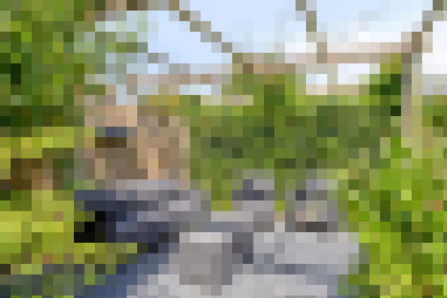 Duikersloot 123 Pijnacker thumbnail 36