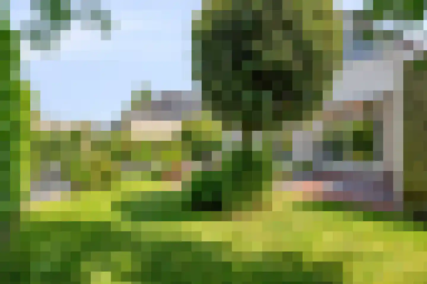 Duikersloot 123 Pijnacker thumbnail 38