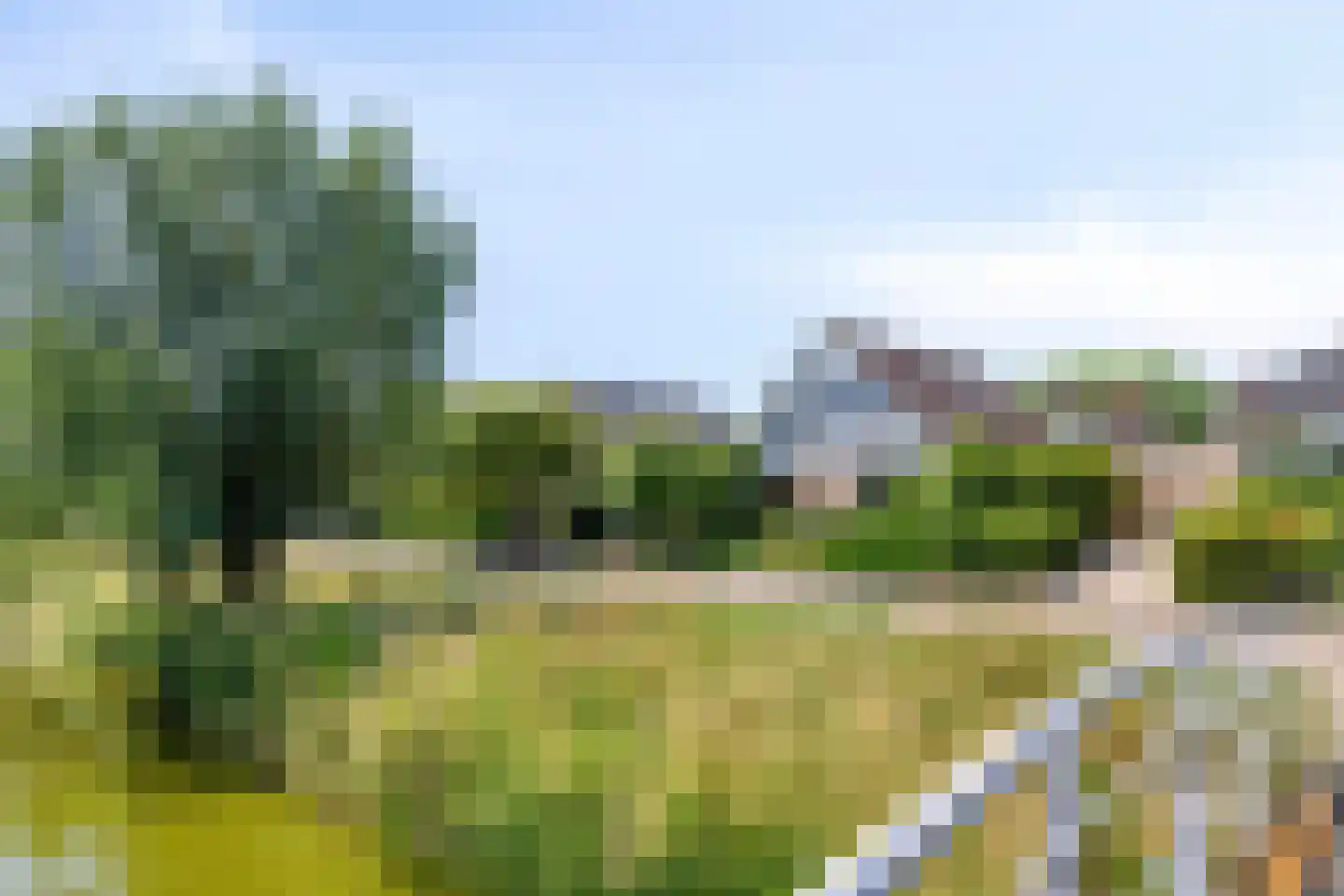 Duikersloot 123 Pijnacker thumbnail 39