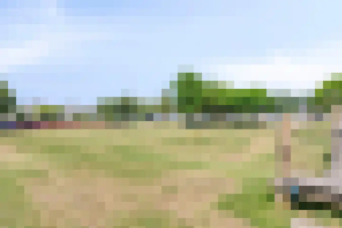 Duikersloot 123 Pijnacker thumbnail 42