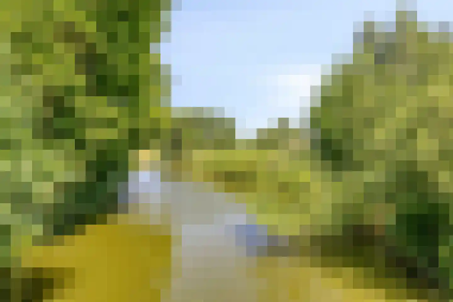 Duikersloot 123 Pijnacker thumbnail 43