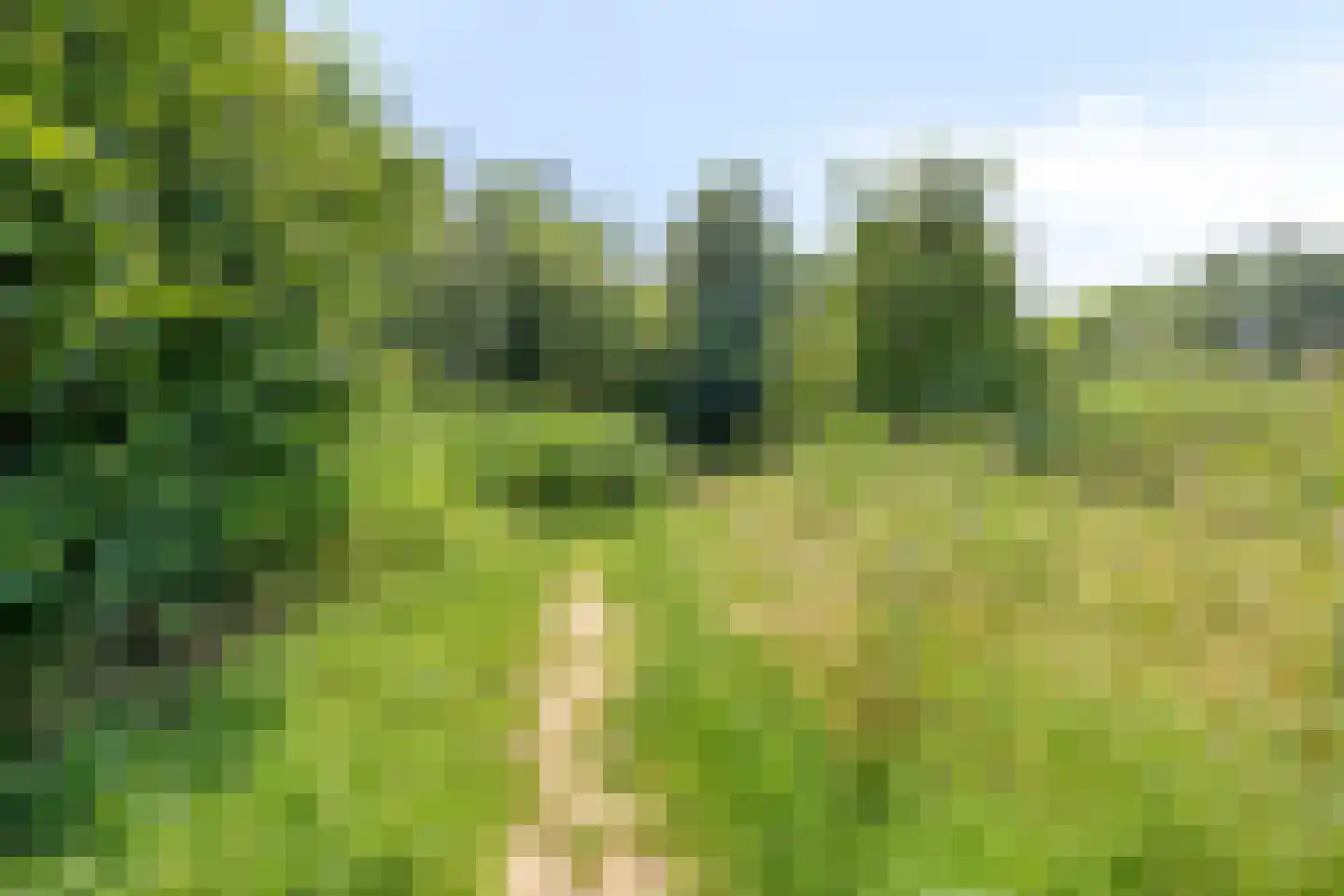 Duikersloot 123 Pijnacker thumbnail 44