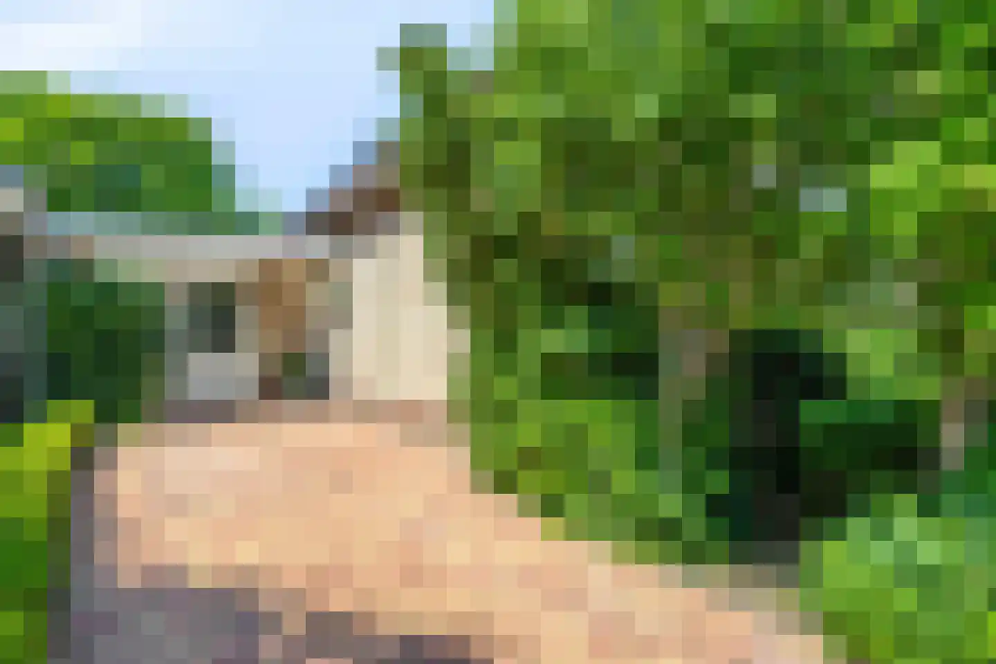 Duikersloot 123 Pijnacker thumbnail 6