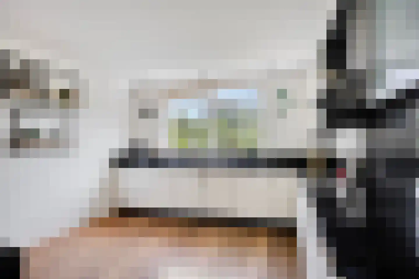 Duikersloot 123 Pijnacker thumbnail 8