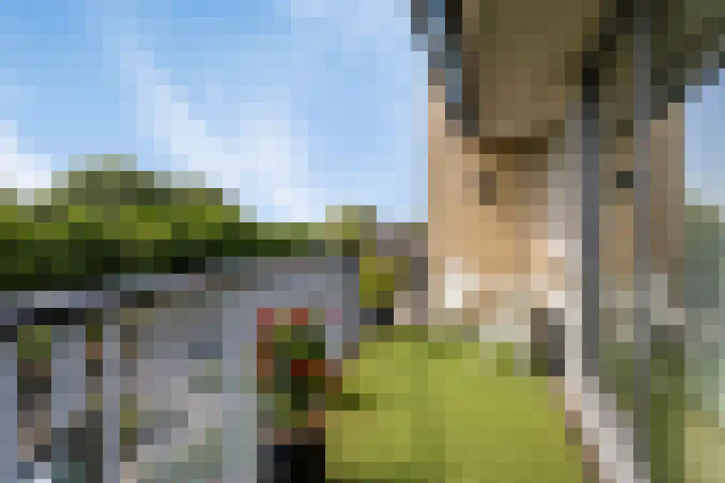 Duikersloot 67 Pijnacker thumbnail 26