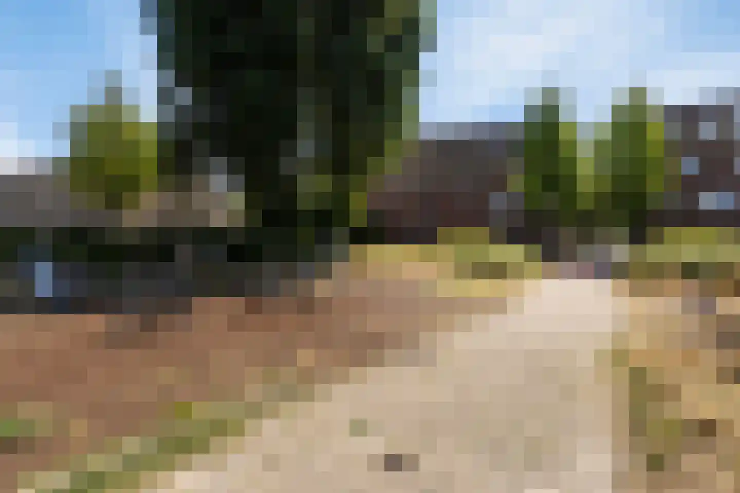 Duikersloot 67 Pijnacker thumbnail 33