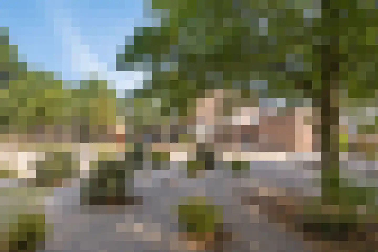Duikersloot 67 Pijnacker thumbnail 37