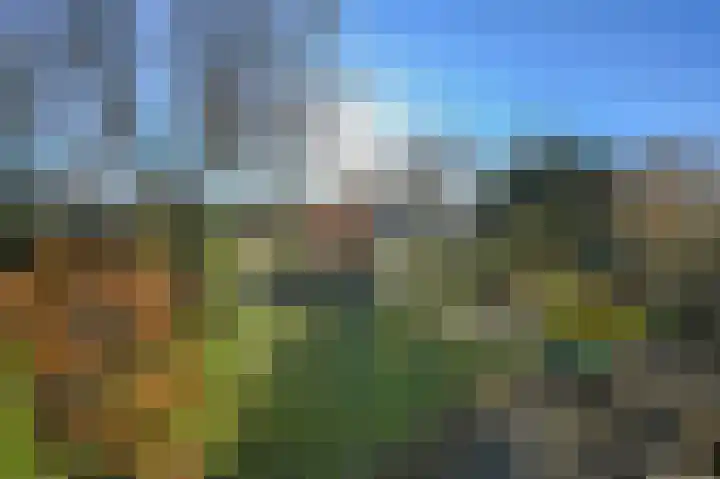 Duikersloot 85 Pijnacker thumbnail 32