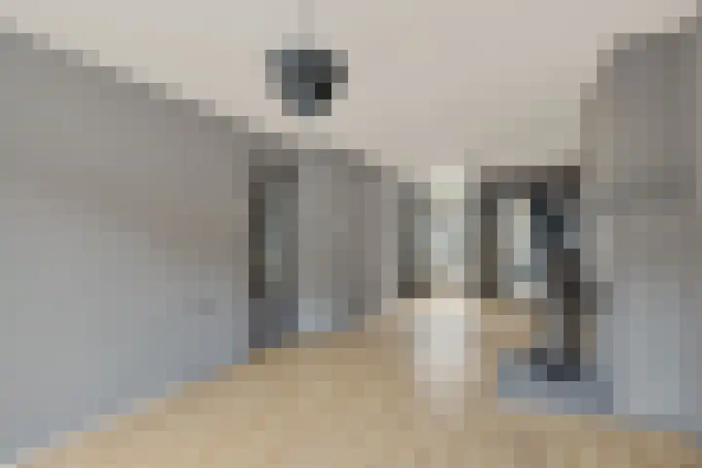 Duikerstraat 12 Utrecht thumbnail 8