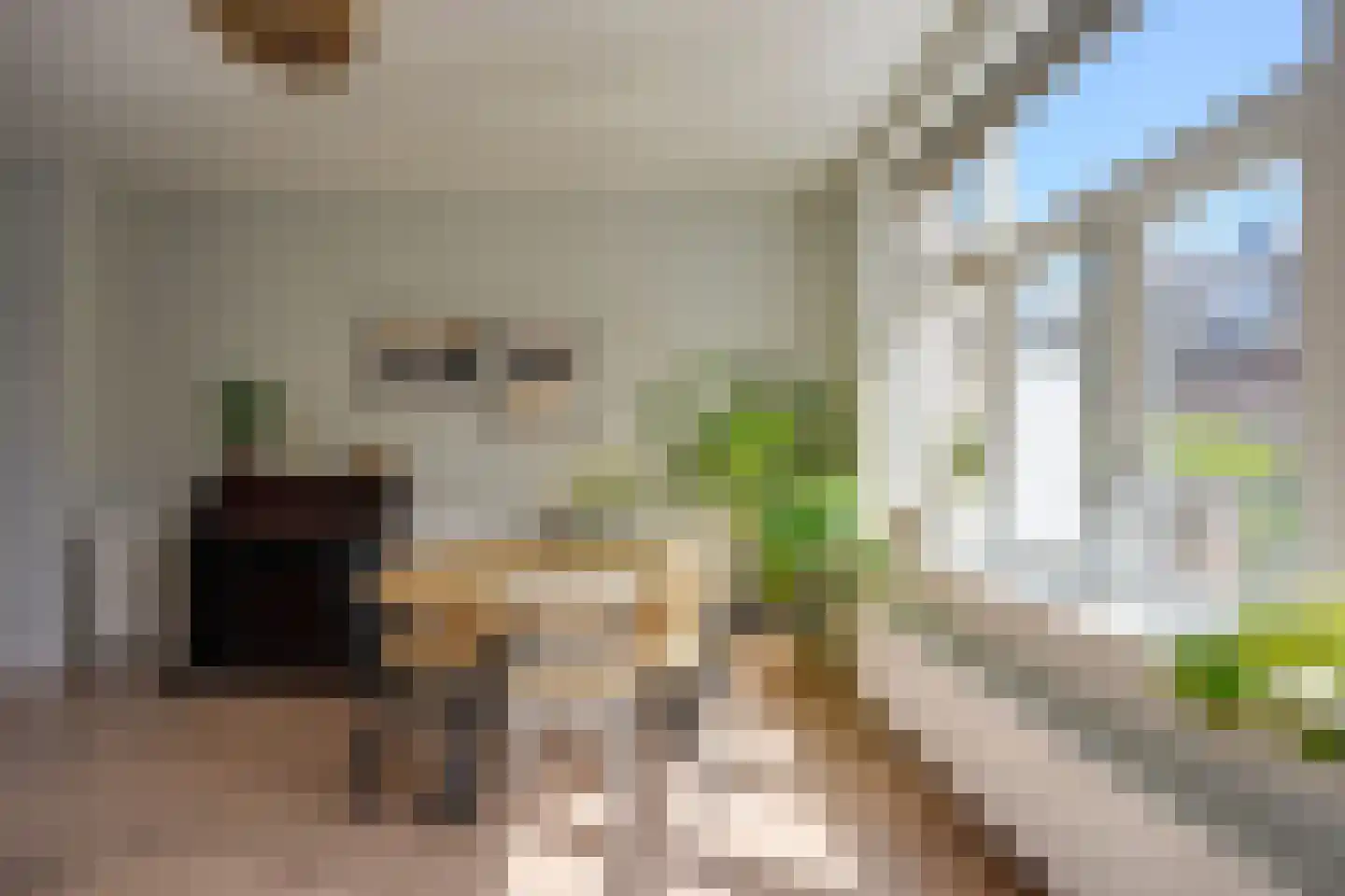 Duikerstraat 14 BS Utrecht thumbnail 13