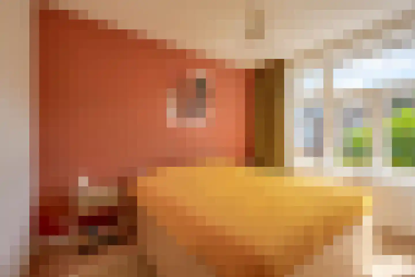 Duikerstraat 14 BS Utrecht thumbnail 19
