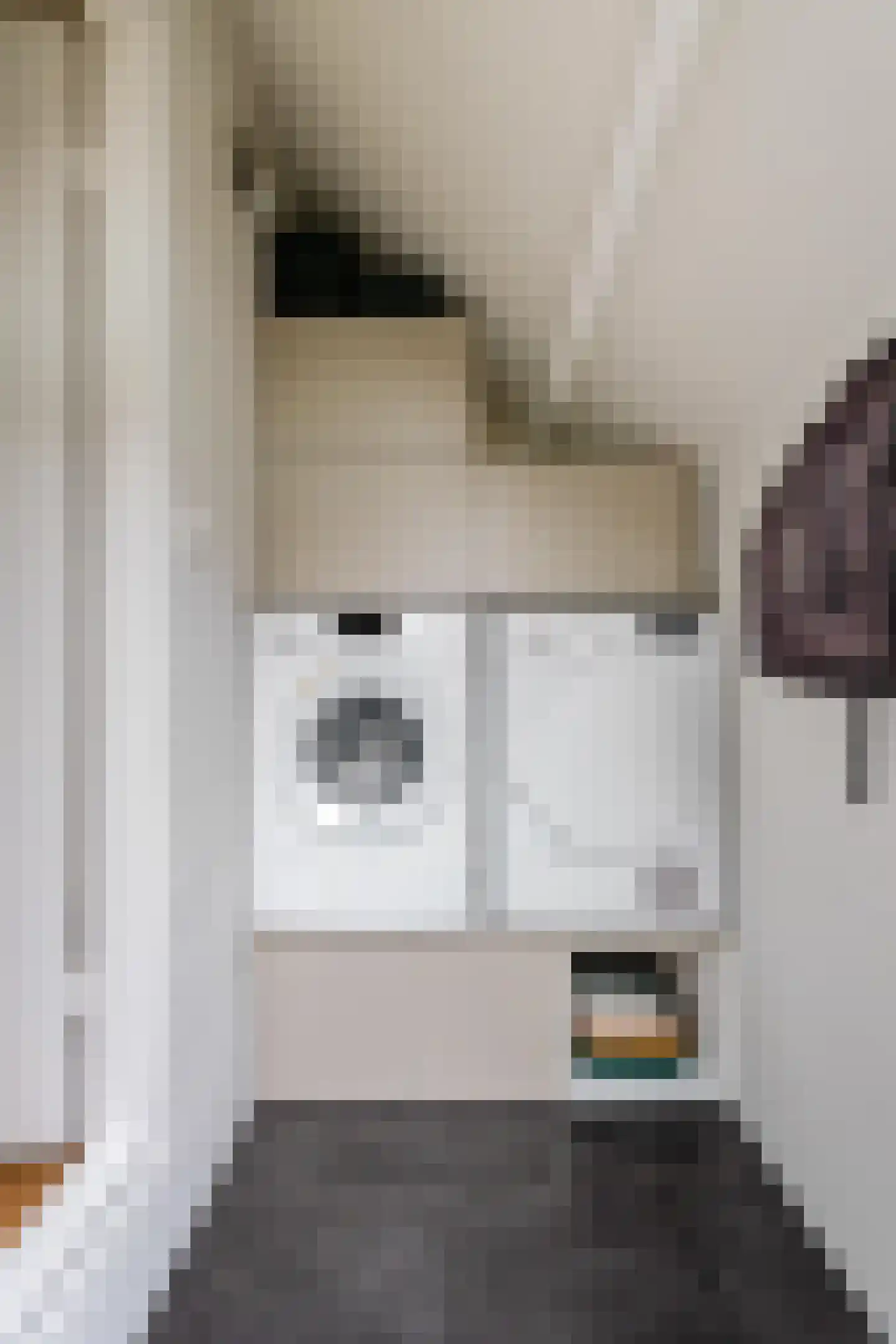 Duikerstraat 15 Groningen thumbnail 15