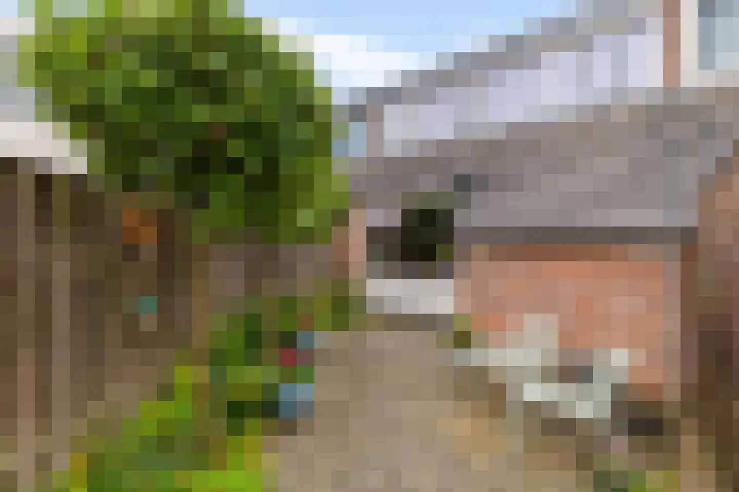 Duikerstraat 15 Groningen thumbnail 29