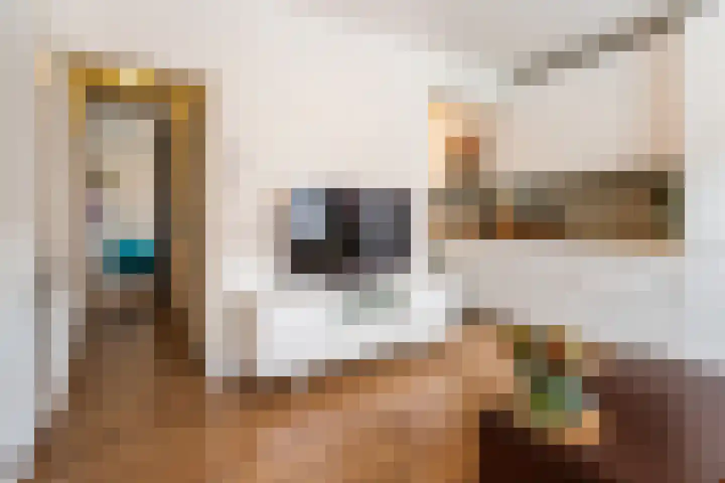 Duikerstraat 16 B Utrecht thumbnail 12