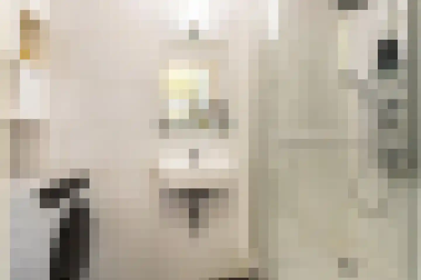 Duikerstraat 16 B Utrecht thumbnail 18