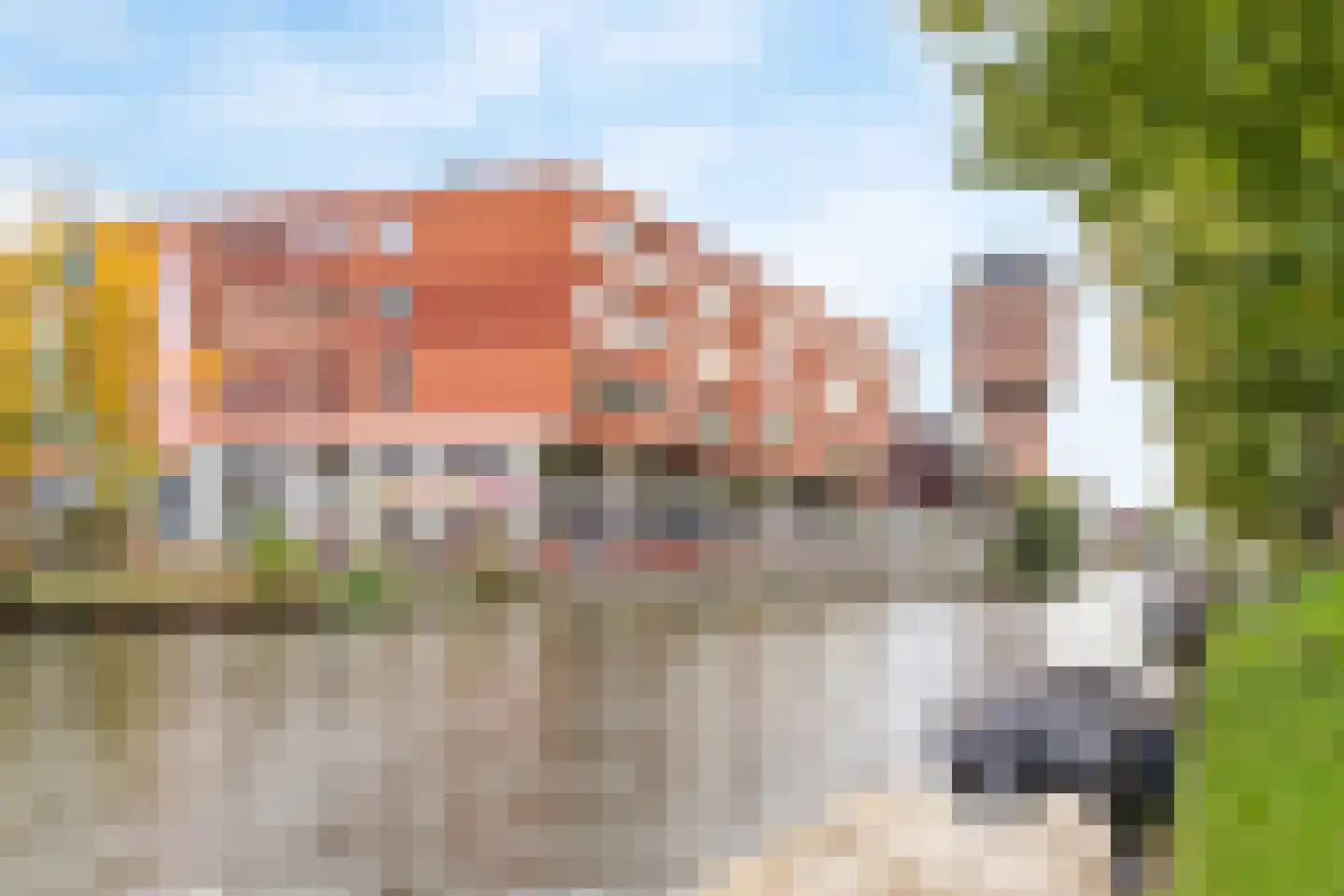 Duikerstraat 16 B Utrecht thumbnail 27