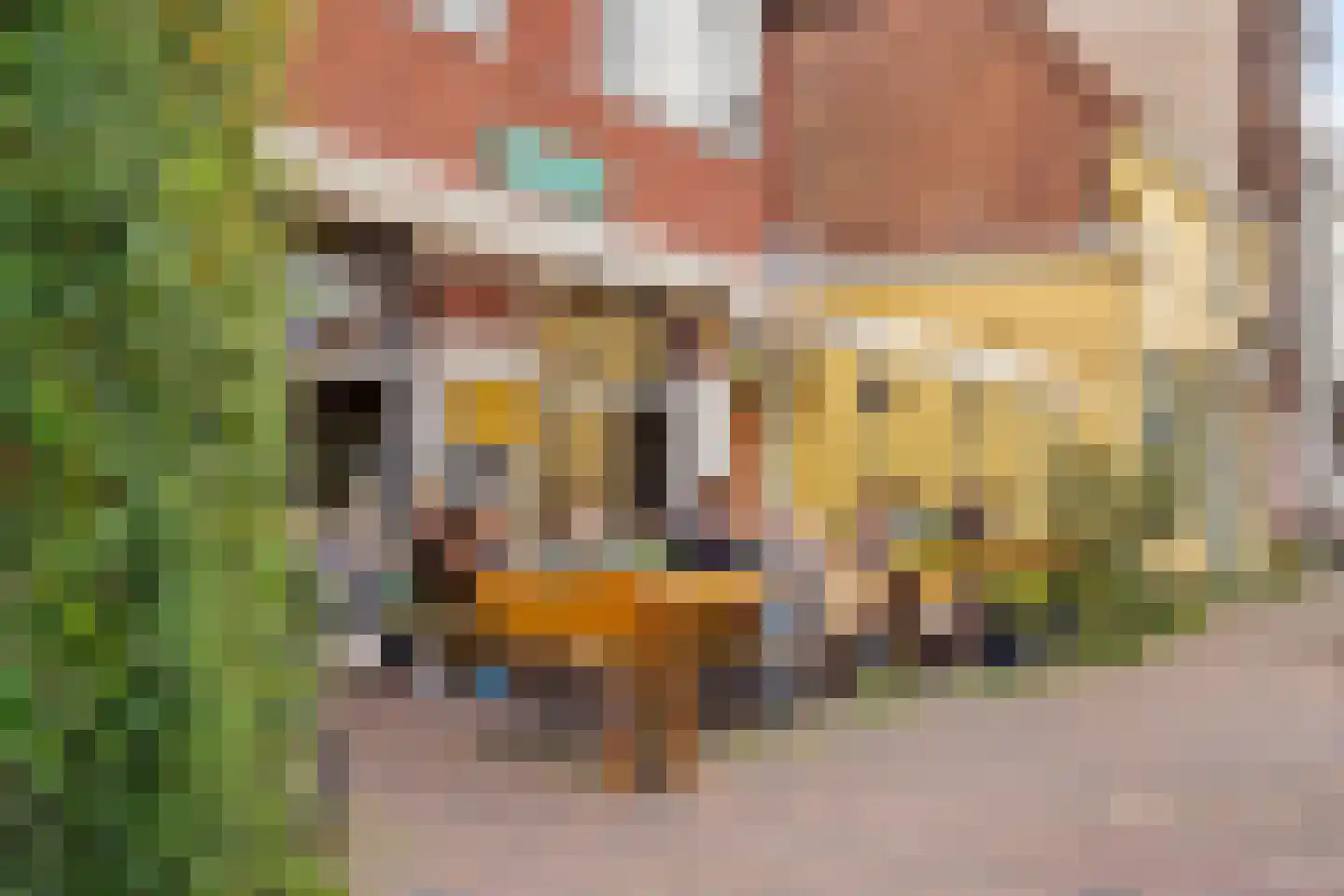 Duikerstraat 16 B Utrecht thumbnail 30