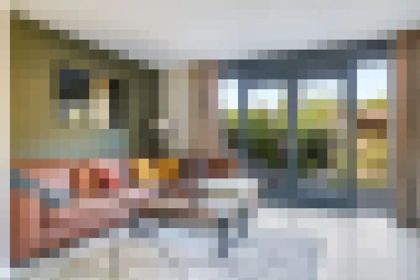 Duikerstraat 16 Doetinchem thumbnail 9