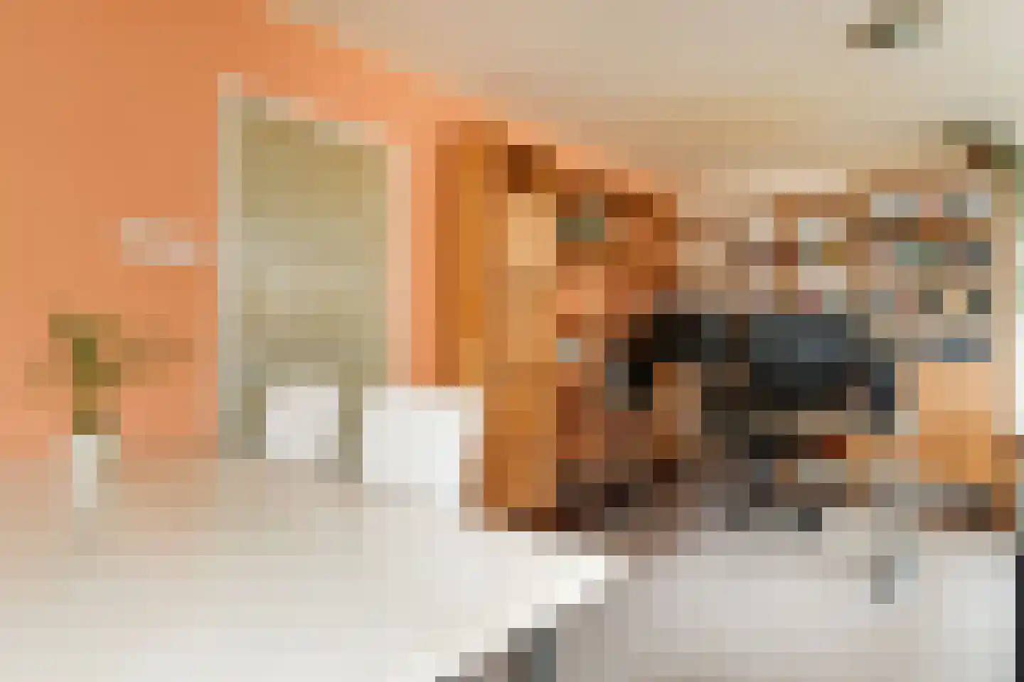 Duikerstraat 16 Utrecht thumbnail 6