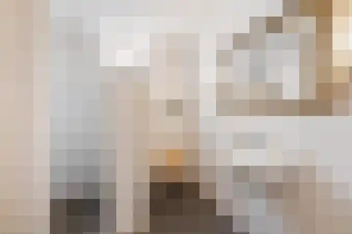 Duikerstraat 4 Utrecht thumbnail 20