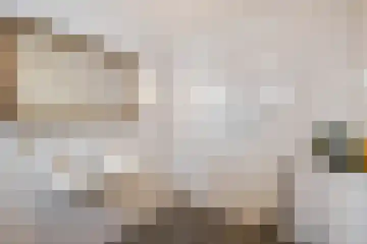 Duikerstraat 4 Utrecht thumbnail 23