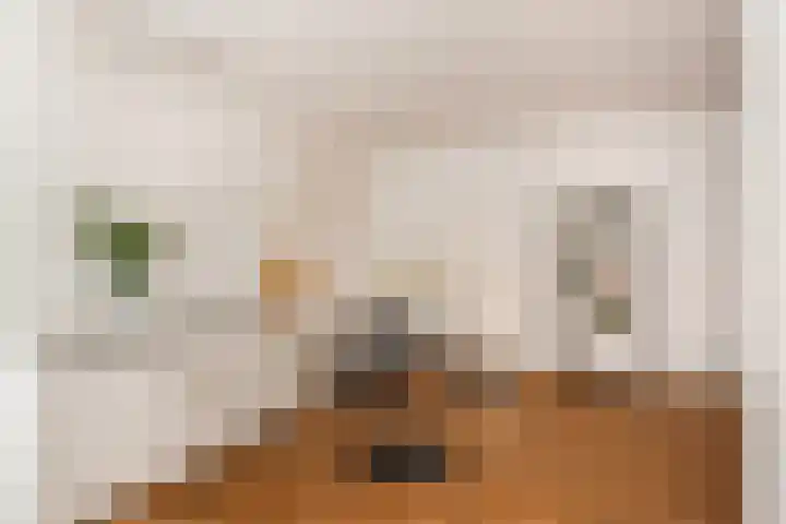 Duikerstraat 4 Utrecht thumbnail 7