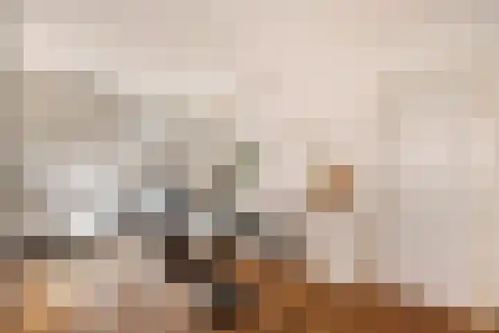 Duikerstraat 4 Utrecht thumbnail 9