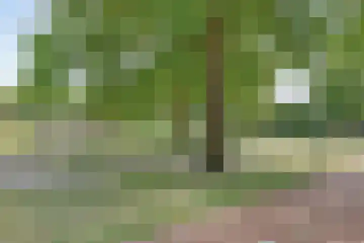 Duikerstraat 41 Dongen thumbnail 27