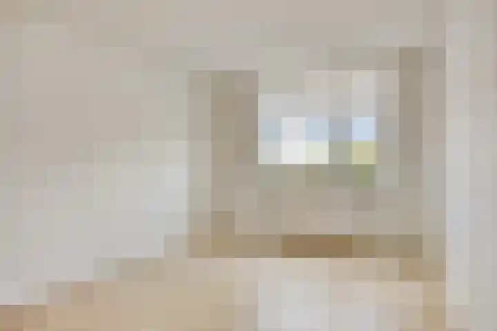 Duikerstraat 41 Dongen thumbnail 4