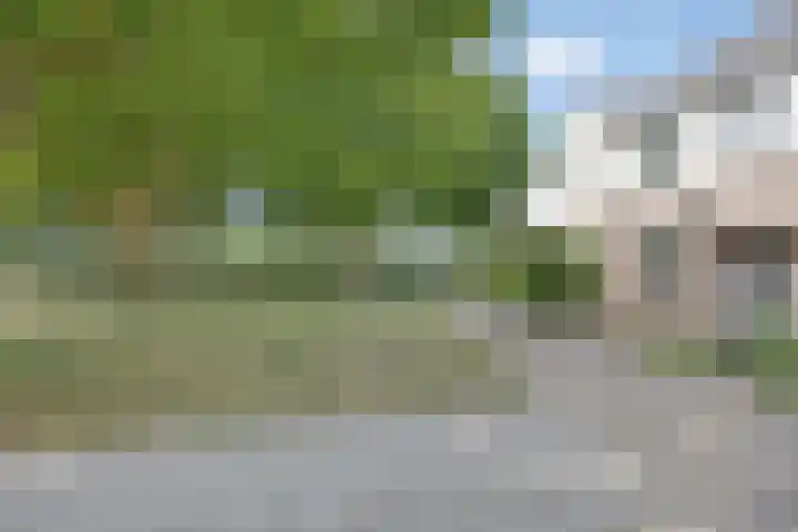 Duikerstraat 41 Dongen thumbnail 8