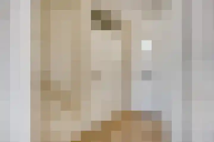Duikerstraat 41 Dongen thumbnail 9