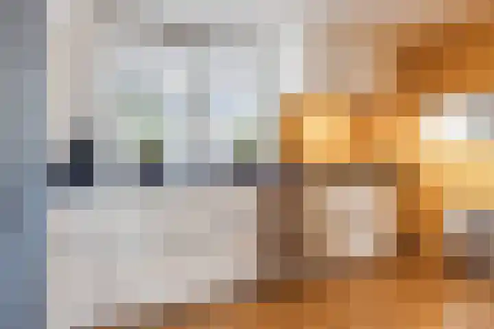 Duikerstraat 5 Dongen thumbnail 13