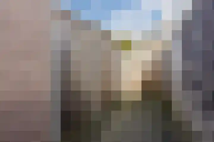 Duikerstraat 5 Dongen thumbnail 35